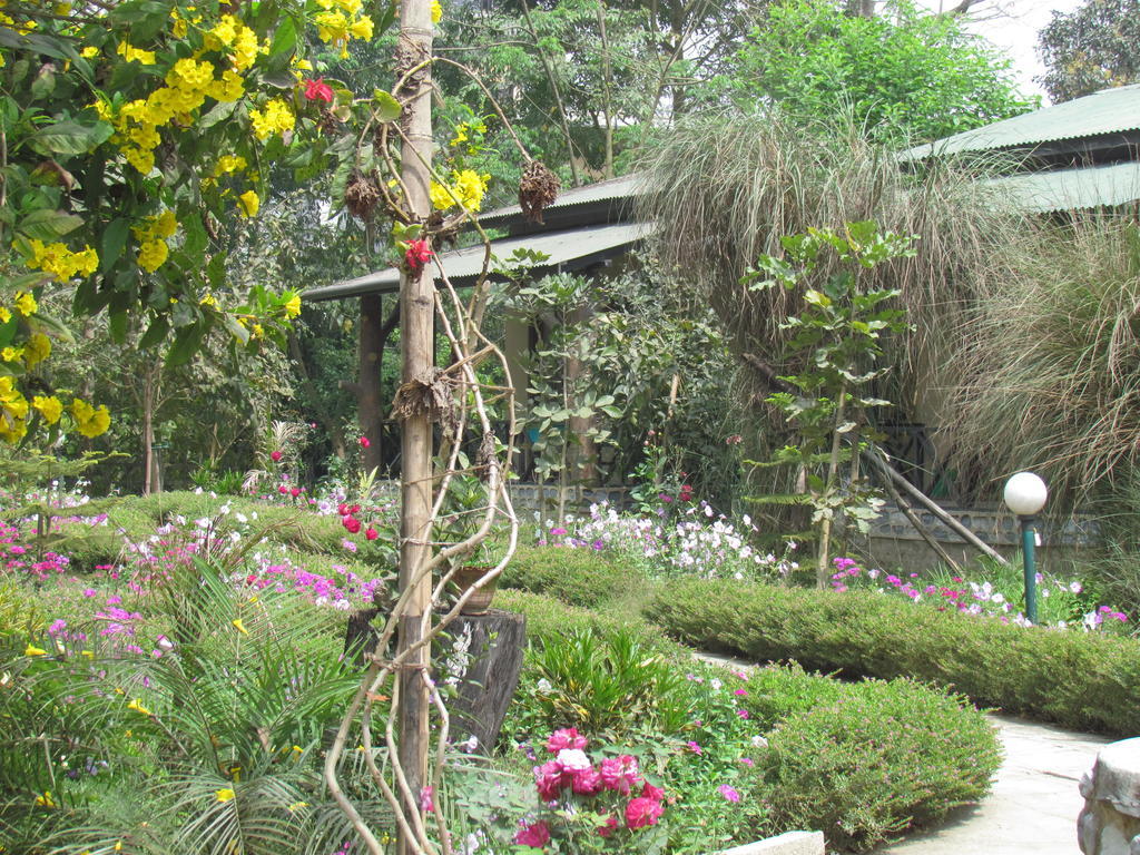 Chitwan Gaida Lodge Sauraha Exterior photo