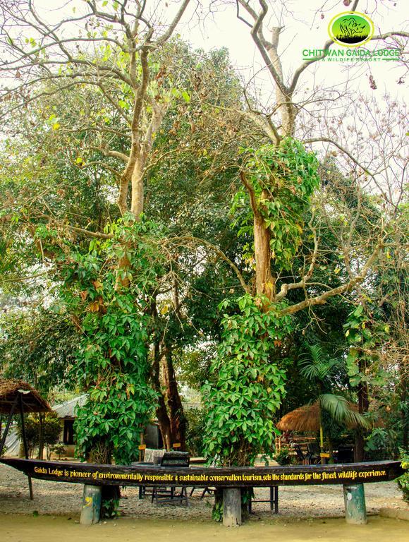 Chitwan Gaida Lodge Sauraha Exterior photo
